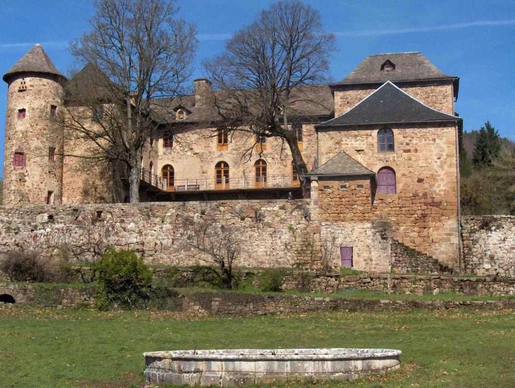 Chateau De Salelles Banassac Kültér fotó