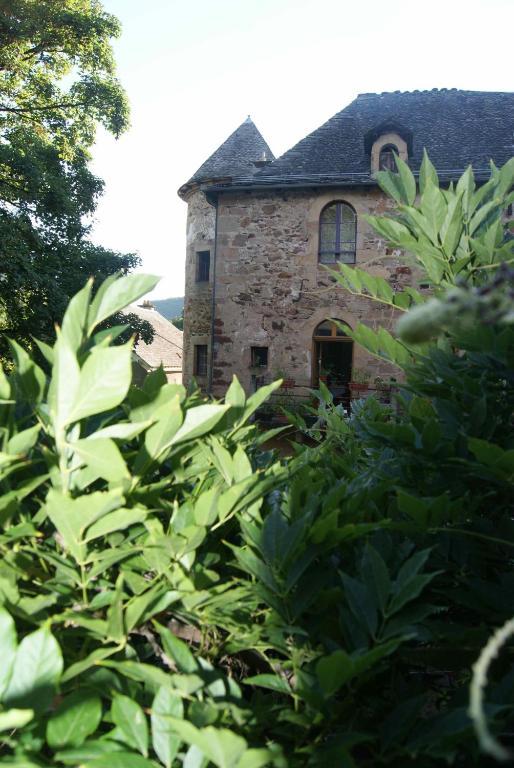 Chateau De Salelles Banassac Kültér fotó
