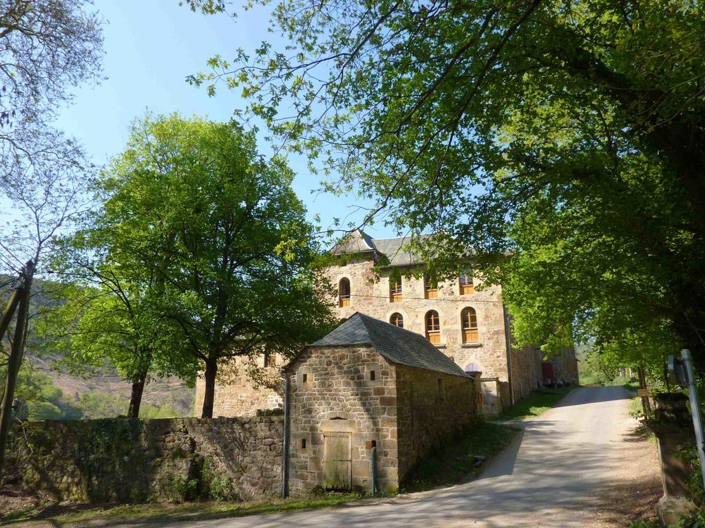 Chateau De Salelles Banassac Kültér fotó