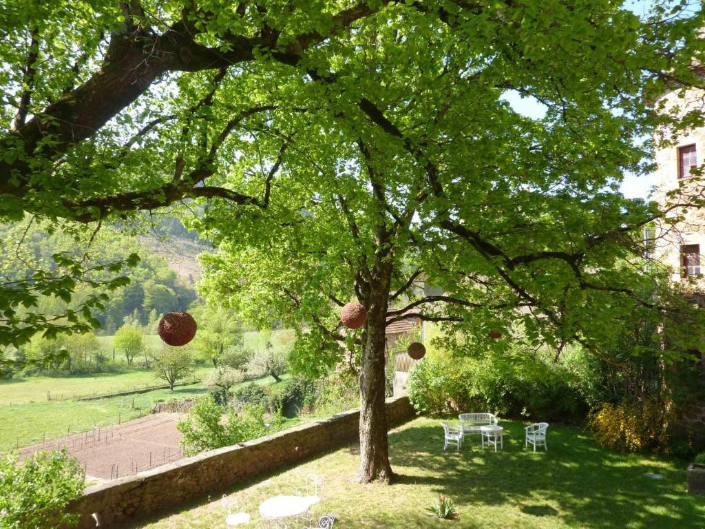 Chateau De Salelles Banassac Kültér fotó