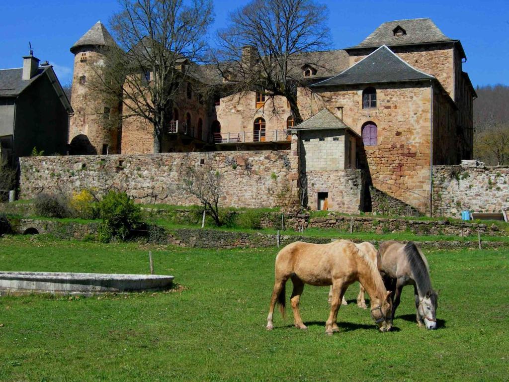 Chateau De Salelles Banassac Kültér fotó